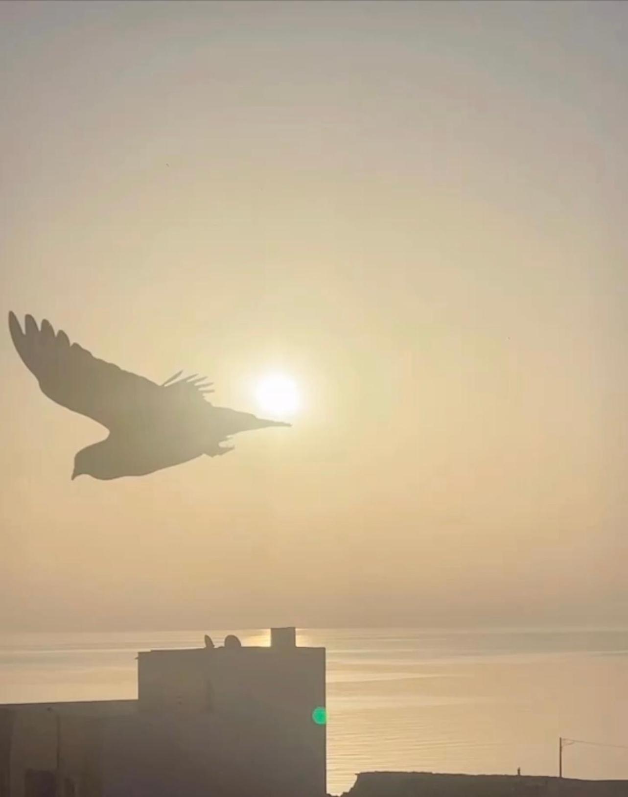 Appartement Luxury Sea View *